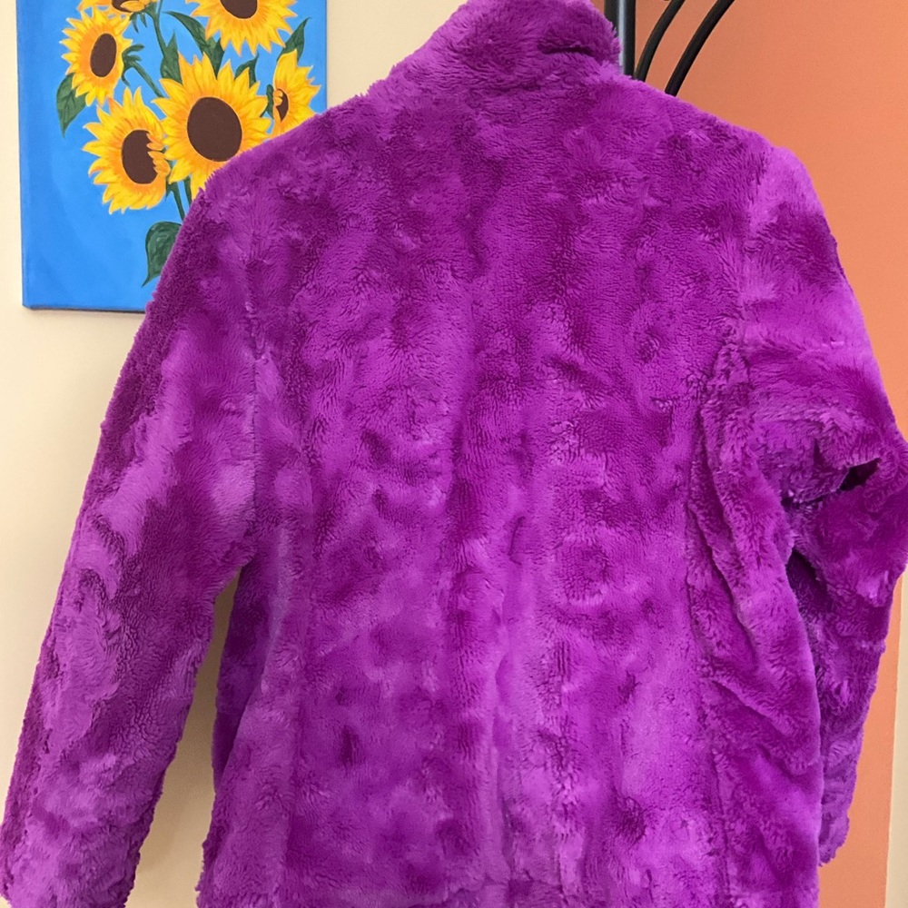 The North face Jacket sizexlarge - Picture 7 of 9